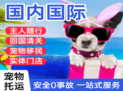 兰州空运地址国际宠物托运 【国